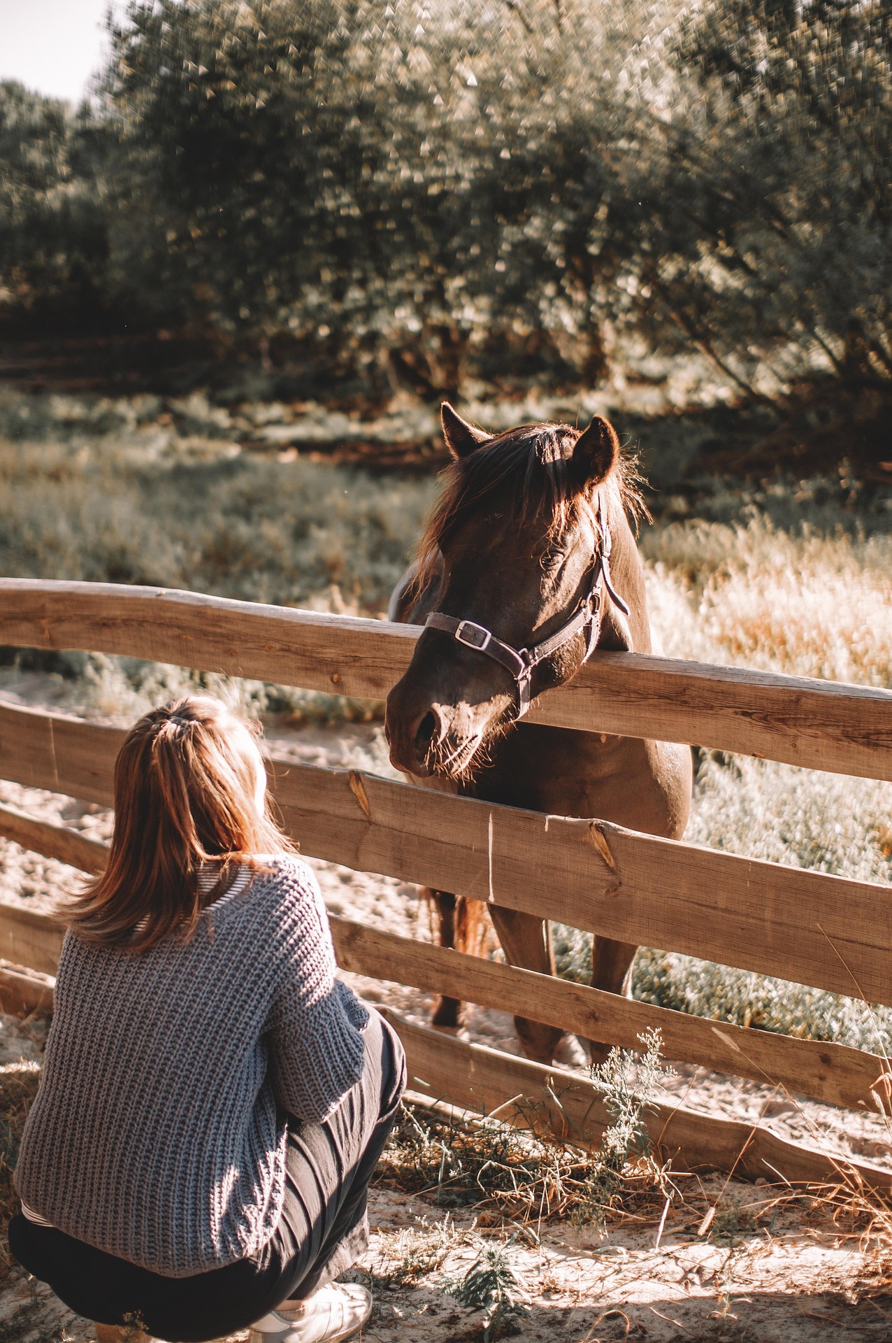 A young visitor meeting a gentle horse at the festival
